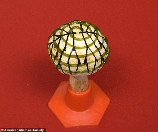 会发电的蘑菇！科学家用3D打印制造的仿生蘑菇可以点亮LED灯——中国人工智能网