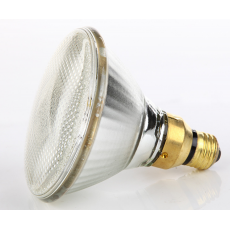通用电气（GE）PAR灯 PAR38帕灯卤钨灯金卤灯E27大螺口60W SP聚光图2