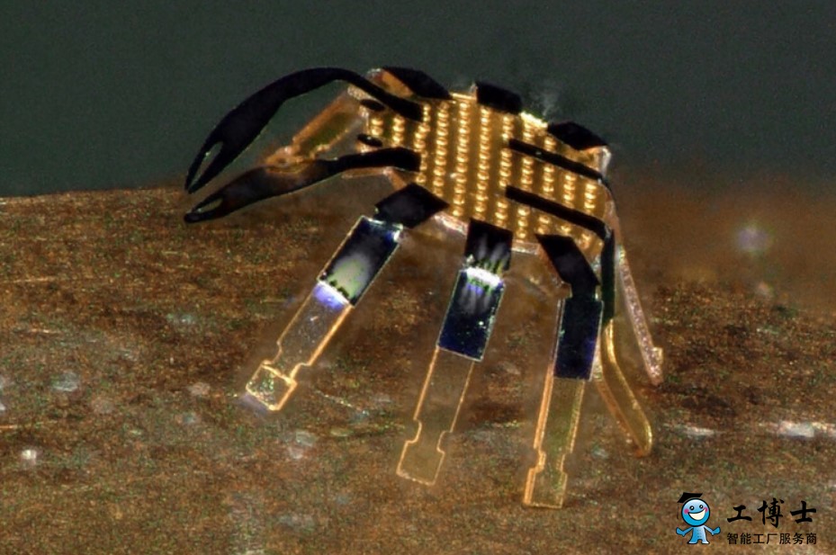 形似螃蟹 史上最小遥控步行机器人面世