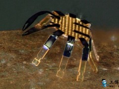 形似螃蟹 史上最小遥控步行机器人面世